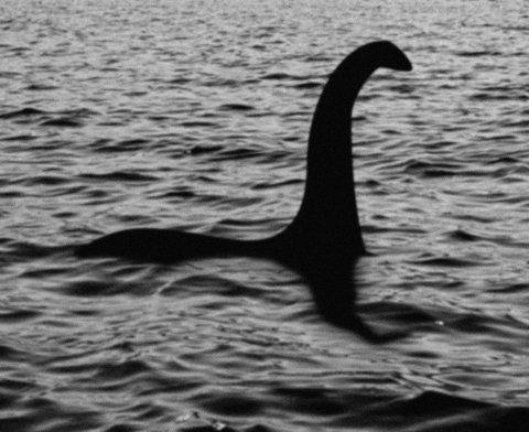 How many Loch Ness monster sightings have there been & is there any evidence?