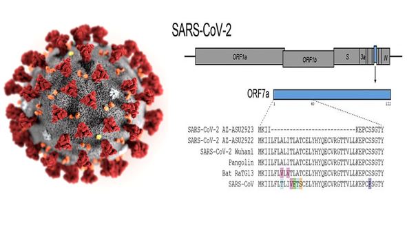 Ray of Hope: New Mutation Found That Shows Coronavirus is Weakening