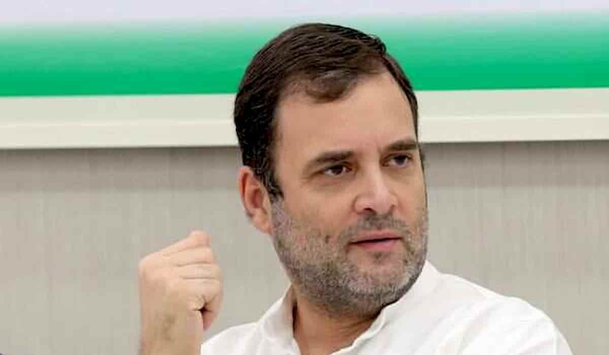 Rahul Gandhi Nicholas Burns