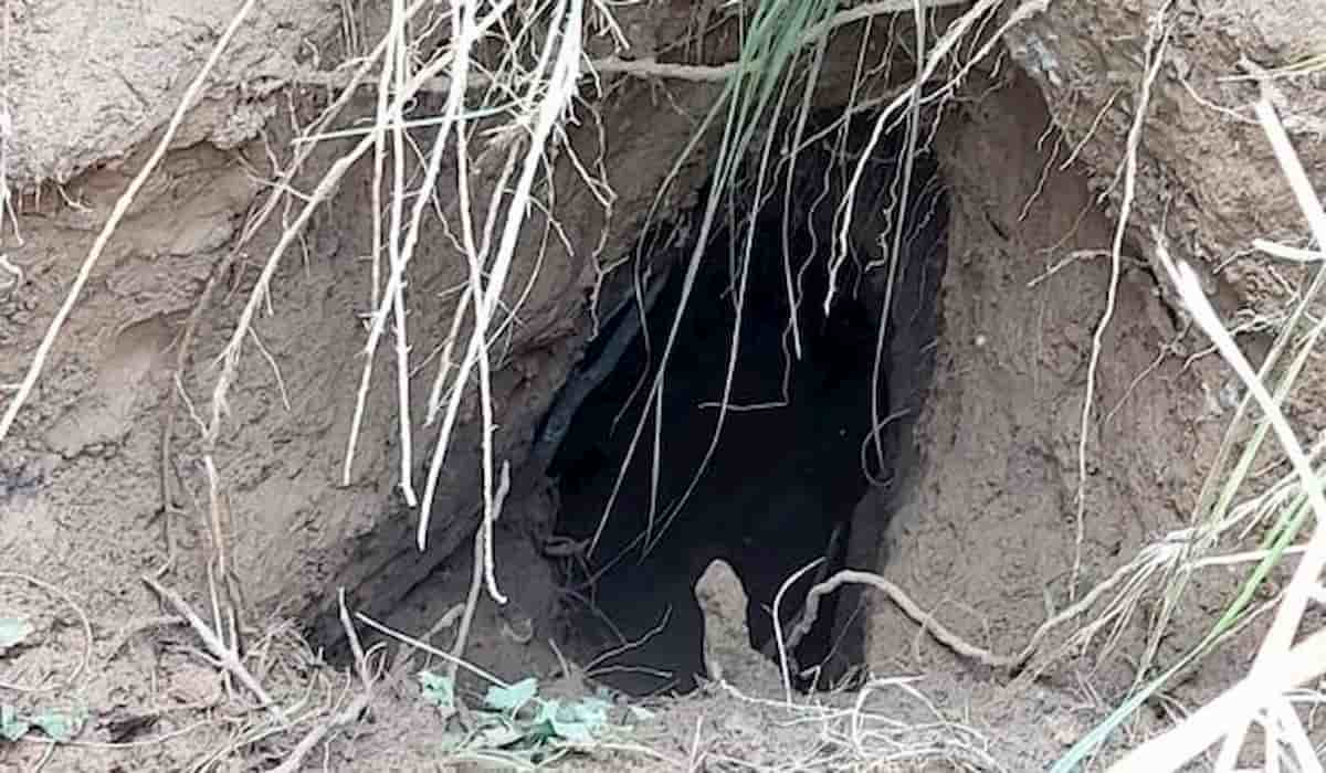 Tunnel Found Near International Border in J&K