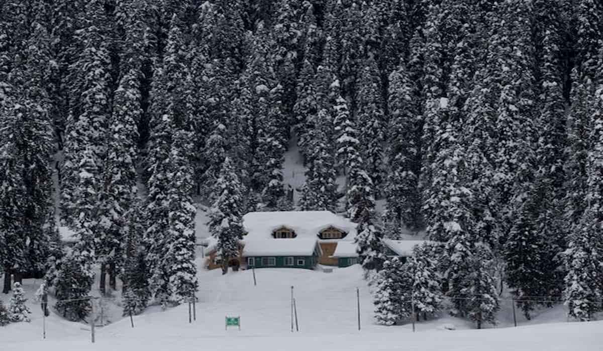 Snowfall in Mughal Road, Gulmarg