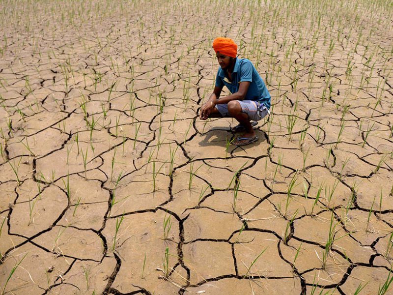 Farm bill or not, Capt. Amrinder Singh has to change Punjab’s cropping pattern to stop desertification