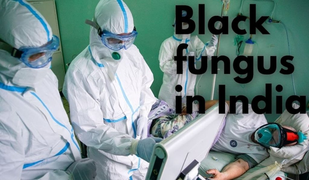 8848 Cases of Black Fungus in India InFeed Facts That Impact