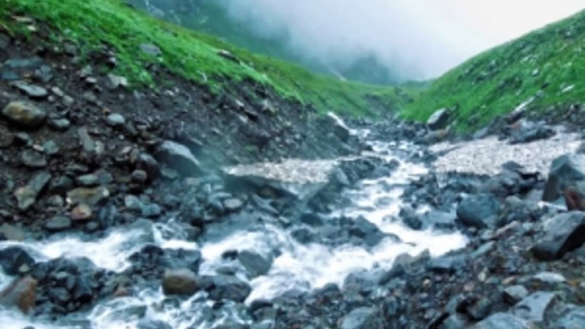 Himalayan Forests Drying Up