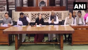 Sonia Gandhi Chairs CPP Meeting