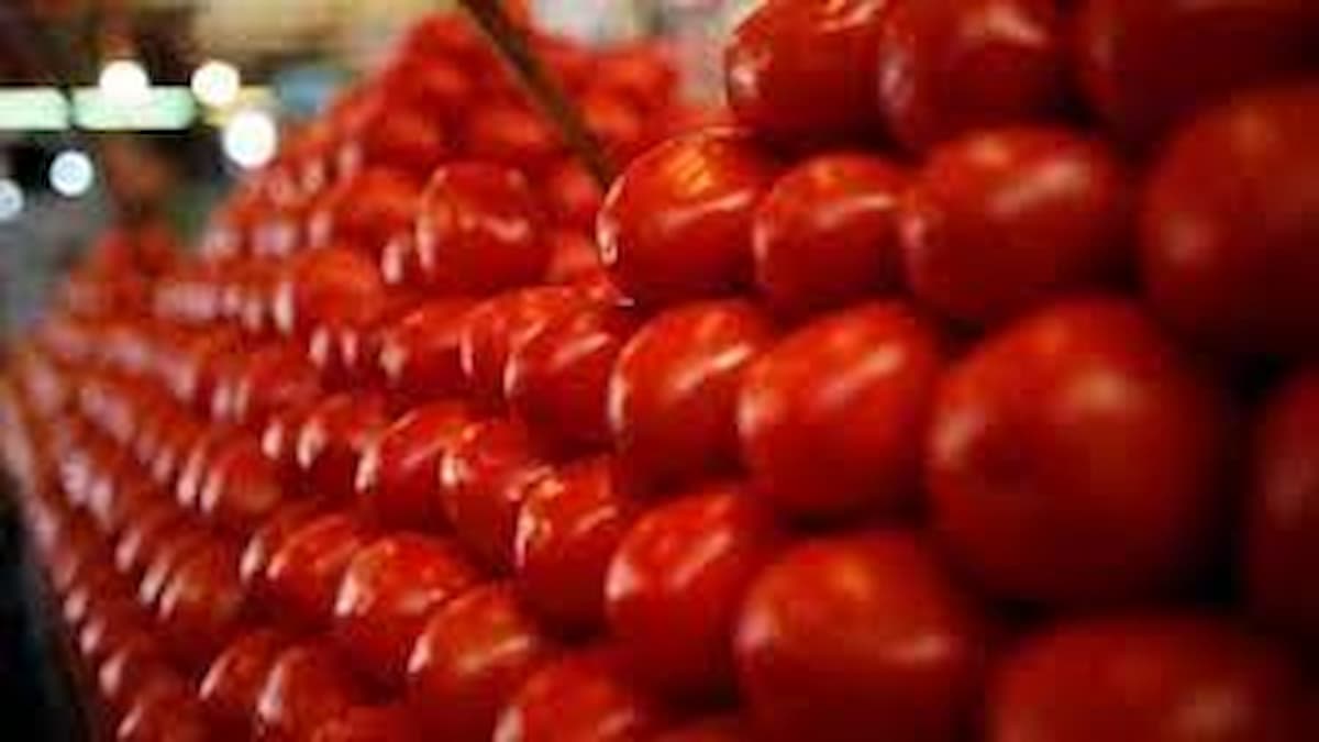 Amid Price Rise, Tomatoes Worth 2.5 Lakh Stolen from Karnataka Village